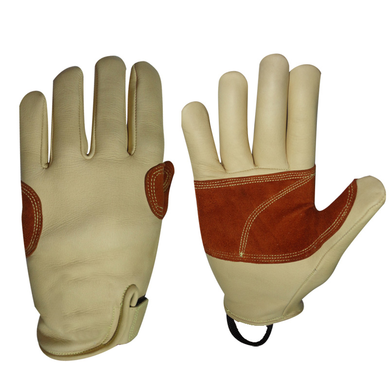 Climbing Gloves