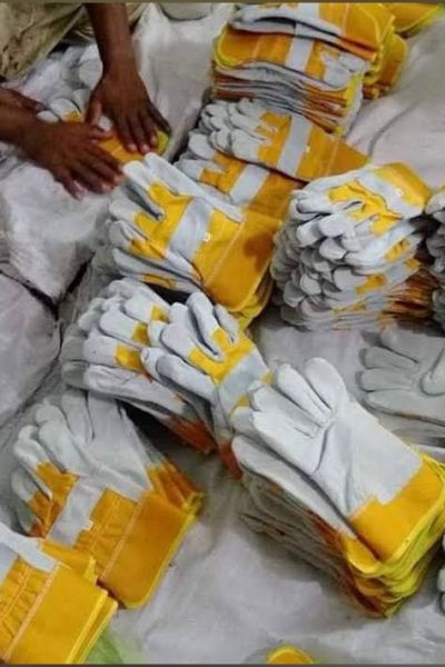 WhatsApp Image 2026-01-29 at 7.00.09 AM